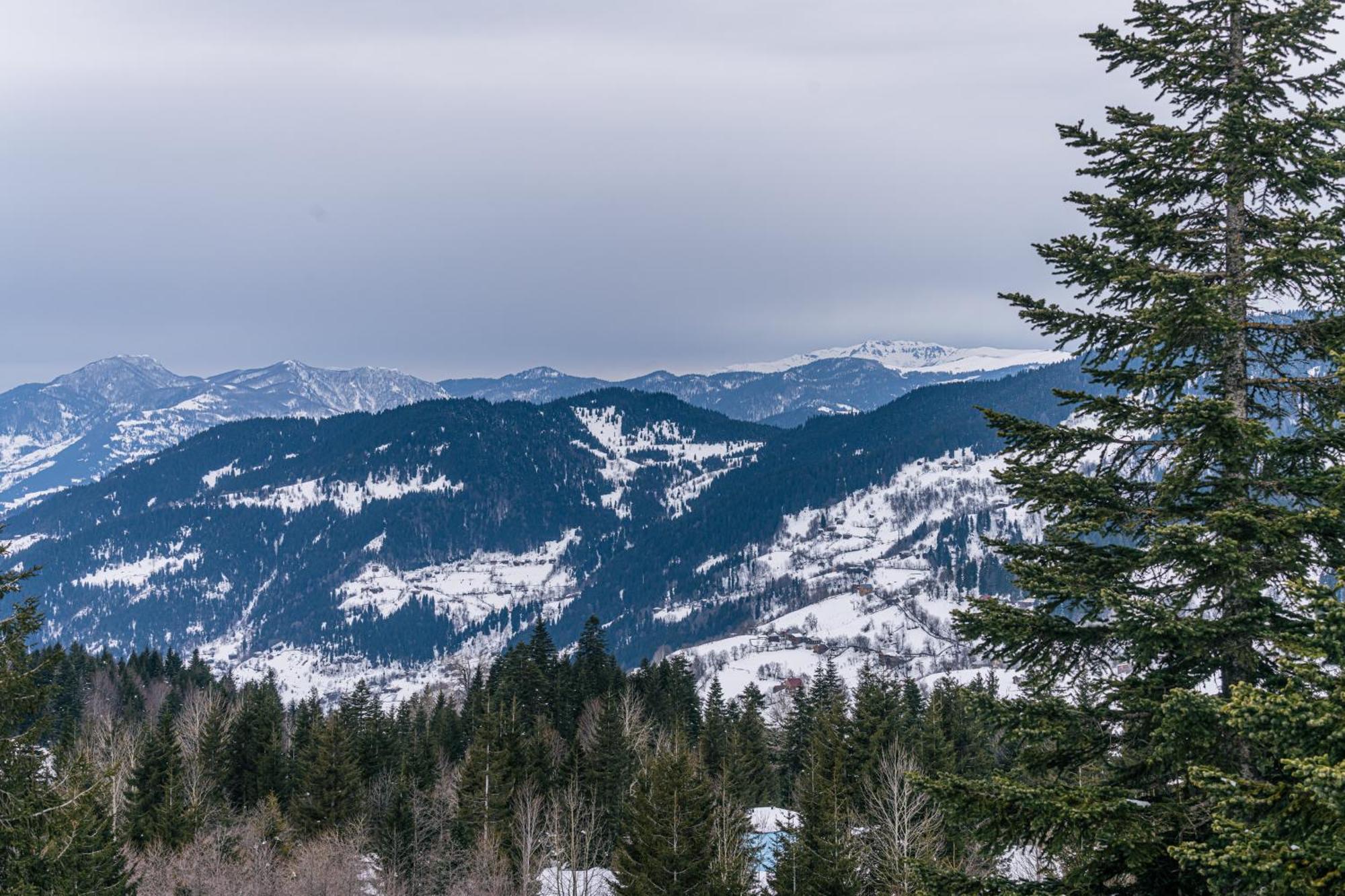 Forest Villa Goderdzi Экстерьер фото
