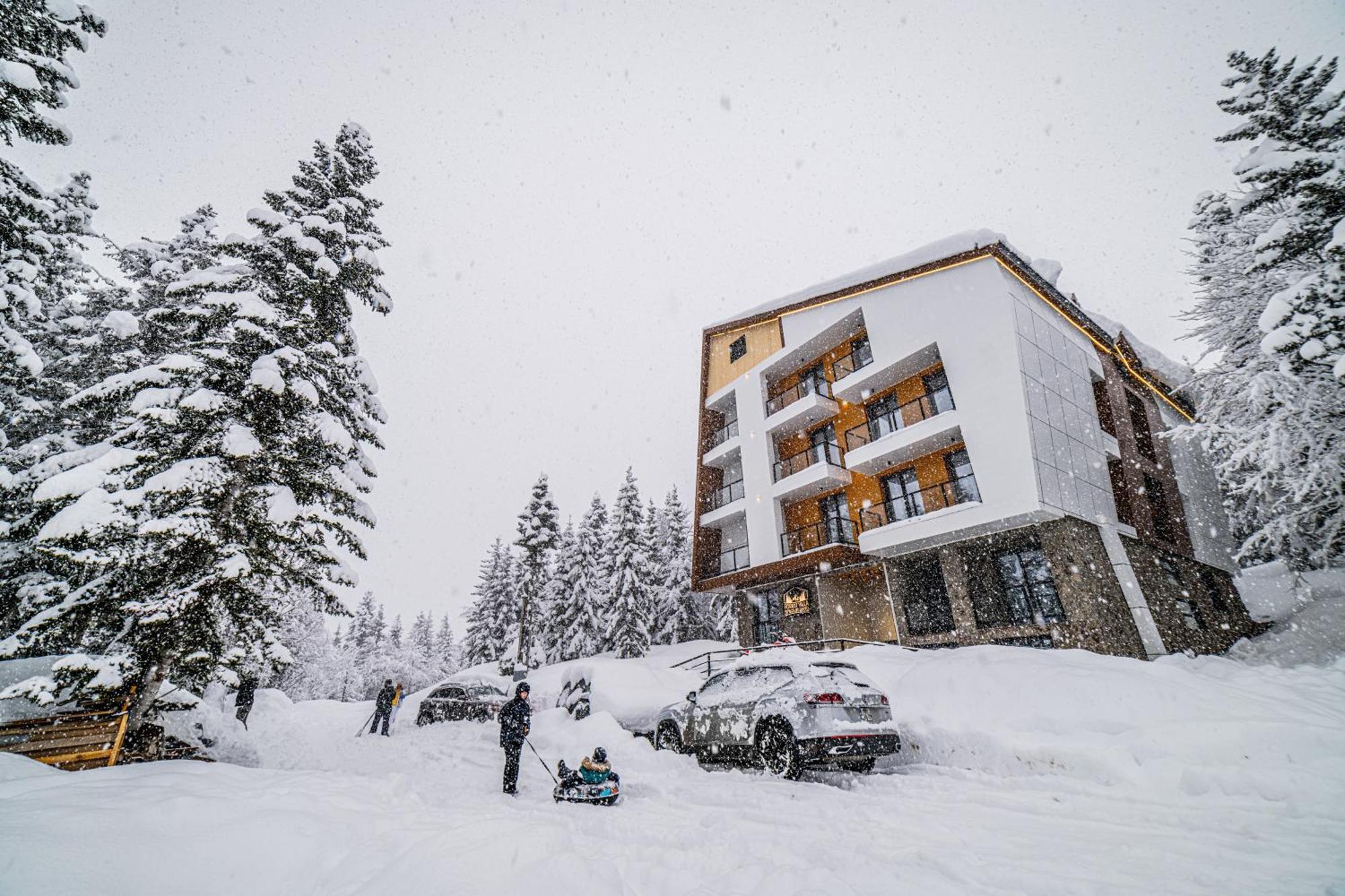 Forest Villa Goderdzi Экстерьер фото