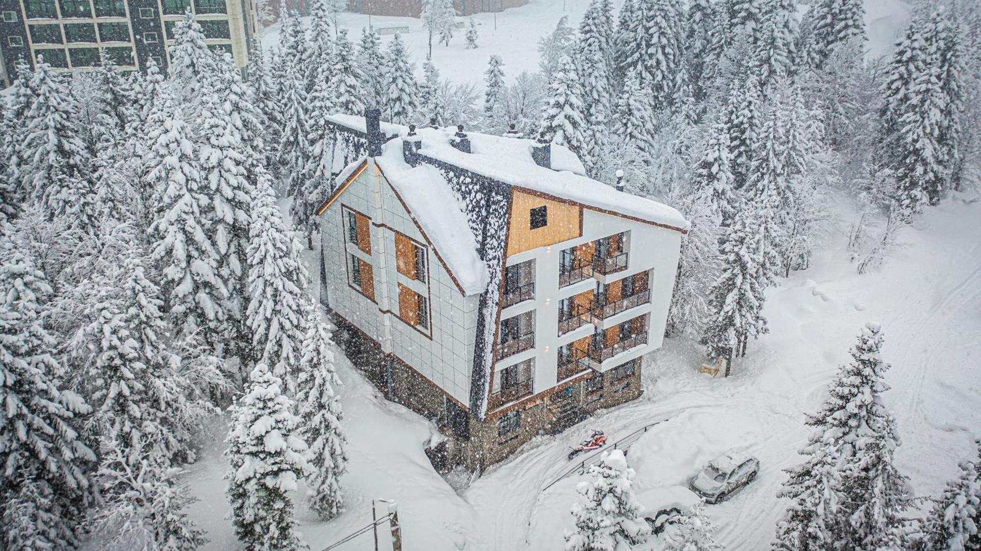 Forest Villa Goderdzi Экстерьер фото